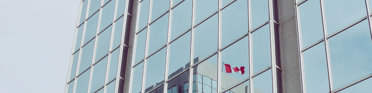 外貿(mào)香港公司年審解析